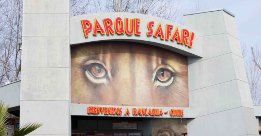 Formalizan al dueño del Parque Safari por fallecimiento de trabajadora atacada por tigre en 2021