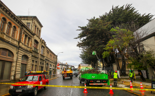 Mantienen Alerta Amarilla para la provincia de Magallanes por fuertes vientos