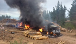 Lumaco: Reportan al menos tres máquinas forestales incendiadas tras ataque