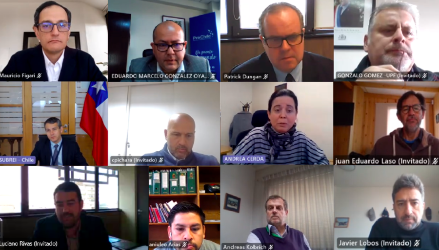 Subsecretario Rodrigo Yáñez participó en Mesa Comex de La Araucanía