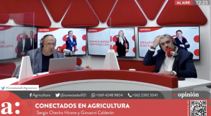 Checho Hirane sobre Convención Constitucional: 