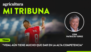 [Video] Columna de Patricio Yáñez: “Vidal aún tiene mucho que dar en la alta competencia”