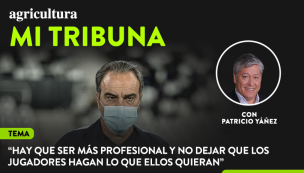 [Video] Columna de Patricio Yáñez: “Hay que ser más profesional y no dejar que los jugadores hagan lo que ellos quieran”