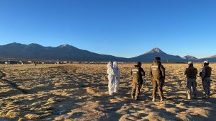 Constatan muerte de migrante irregular venezolano en Colchane