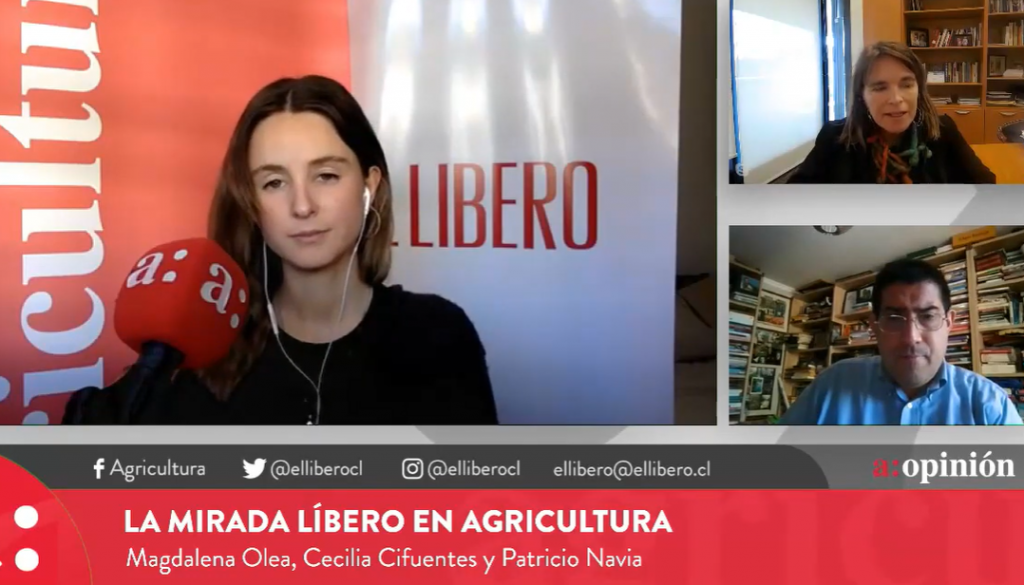 Cecilia Cifuentes y elecciones presidenciales de noviembre: “Hay candidaturas con fines de lucro”