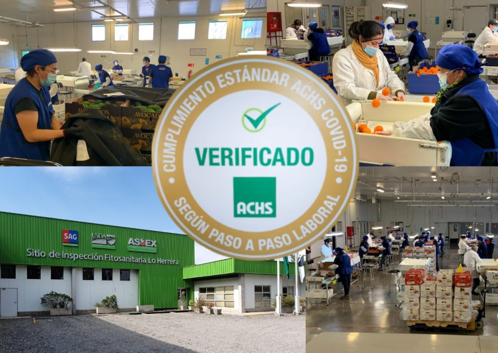 Sitio de Inspección Fitosanitaria de Lo Herrera obtiene Sello COVID