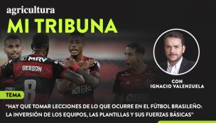 Nacho Valenzuela y clubes brasileños en la Libertadores: 