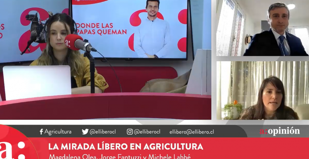 Economista Michele Labbé por extensión del IFE: “Es un frenesí de gasto”