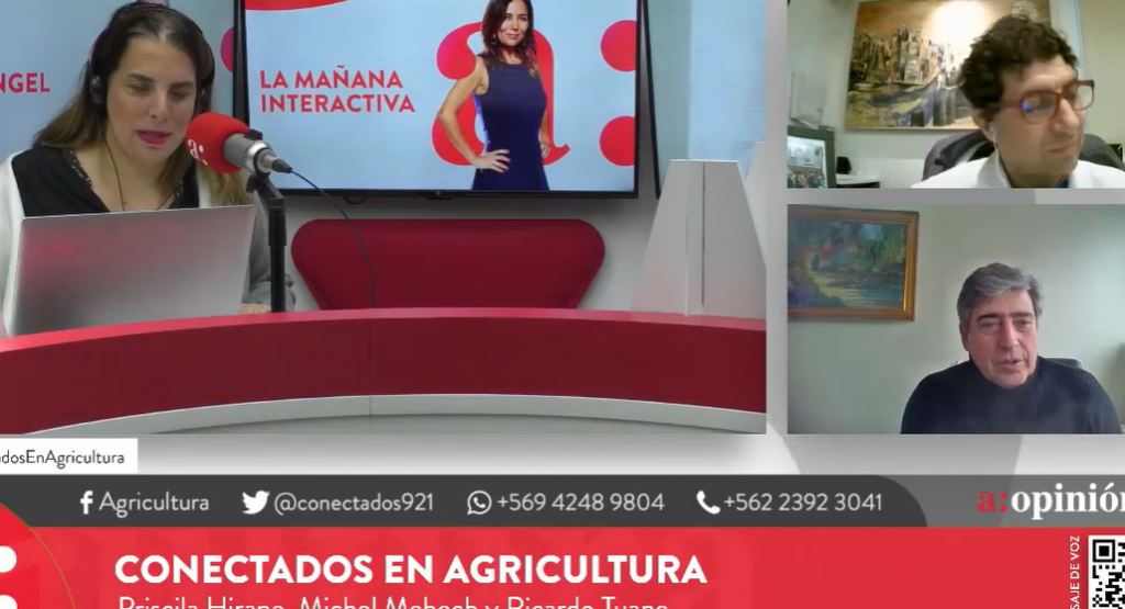 Ricardo Tuane y la Convención: “Insistir en quitar el nombre de la República de Chile es una soberana tontera”