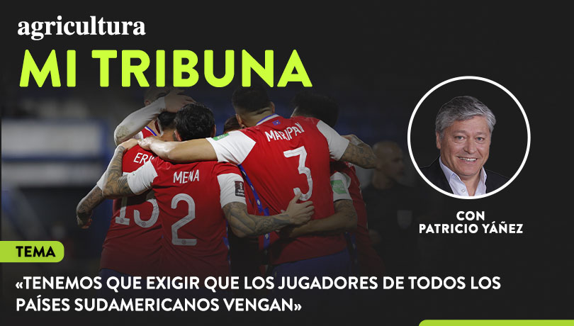 Columna de Pato Yáñez: “Tenemos que exigir que los jugadores de todos los países sudamericanos vengan”