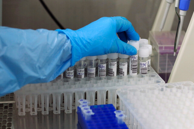 Minsal reportó 640 casos nuevos de Covid-19 y positividad de 1,08% a nivel nacional