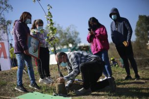 “Bosque de la Memoria”: El homenaje a fallecidos por Covid-19 que se realiza en Renca