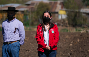 Gobierno declara emergencia agrícola en regiones de Biobío y Ñuble: 