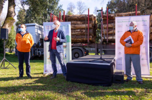 Gremios forestales y pymes madereras presentan campaña para prevenir comercio ilegal de madera y daño al medio ambiente