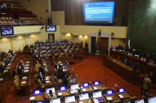 Cámara de Diputados rechaza proyecto que prohíbe carreras de perros