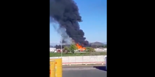 Región del Maule: Reportan incendio en patio de planta Agrozzi ubicada en Teno