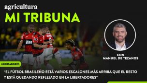 [Video] Columna de Manuel de Tezanos: “El fútbol brasileño está varios escalones más arriba que el resto y está quedando reflejado en la Libertadores”