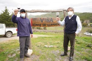 Celebran Día Nacional del Vino con productores del valle del Itata