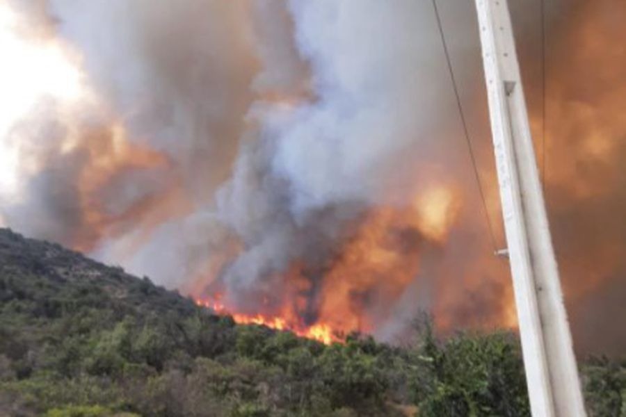 Incendio forestal en Tiltil ha consumido más de 100 hectáreas y a afectado al menos 12 viviendas