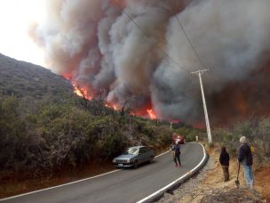 Incendio forestal destruye casas, vehículos y más de 100 há de bosque nativo en Caleu