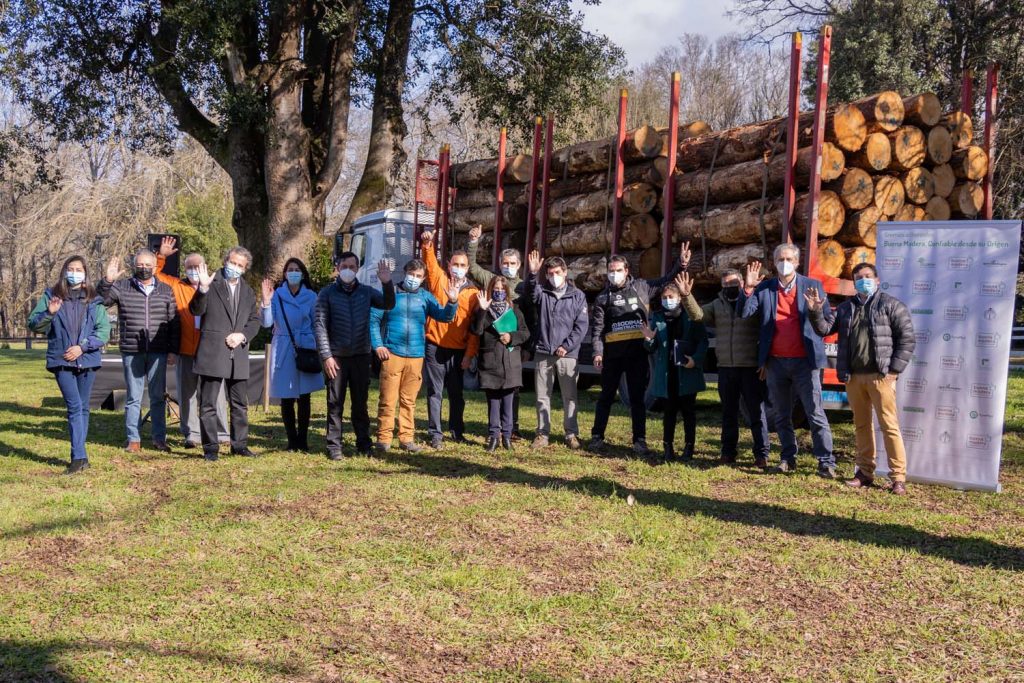 Presentan campaña para prevenir comercio ilegal de madera