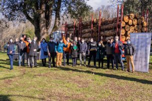 Presentan campaña para prevenir comercio ilegal de madera