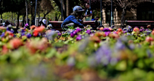 Queda poco para el cambio de estación: ¿Cuándo y a qué hora comienza la primavera en Chile?