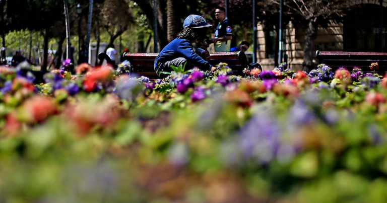 Primavera en Chile: revisa cuándo comienza oficialmente la nueva estación en 2026