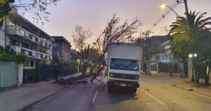 Accidente en Providencia provocó la caída de varios postes eléctricos