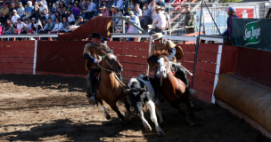 Solicitan redirigir recursos otorgados al rodeo para financiar la recuperación económica debido a la pandemia