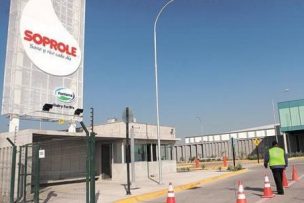 Los indicadores clave de Soprole que marcarán su valorización en medio del proceso de venta