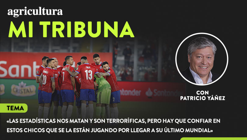 [Video] Columna de Pato Yáñez: “Las estadísticas nos matan y son terroríficas, pero hay que confiar en estos chicos que se la están jugando por llegar a su último Mundial”