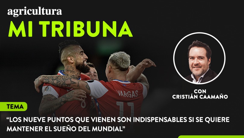 [Video] Columna de Cristián Caamaño: “Los nueve puntos que vienen son indispensables si se quiere mantener el sueño del Mundial”