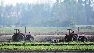 Agricultores usurpados no califican como “víctimas de violencia”