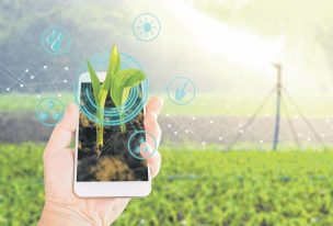 Corfo lanza programa para sumar tecnología al sector agrícola