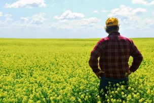 FIA lanza libros educativos para combatir el cambio climático en la agricultura