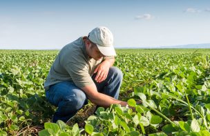 Agricultura orgánica: facilitar canales de comercialización es clave para apuntalar a pequeños productores