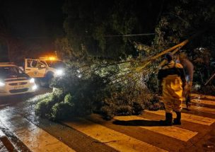 Evento meteorológico entre Valparaíso y La Araucanía genera cortes de luz, caída de árboles y desprendimientos de techumbres