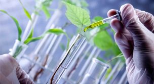 Piden evaluar oportunidades de biotecnología para agricultura del sur de Chile