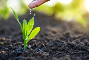 Abren curso virtual sobre buenas prácticas agrícolas para una agricultura resiliente