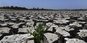 Cambio climático impactaría en uso del suelo y en precio de alimentos