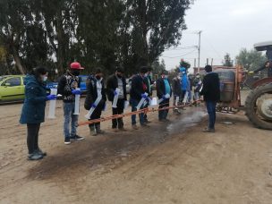 Agricultores de la RM serán capacitados para recuperar zonas afectadas por plaga chinche pintada