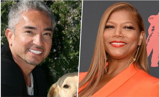 Demandan al “encantador de perros”: Acusación asegura que su pitbull mató a la mascota de Queen Latifah