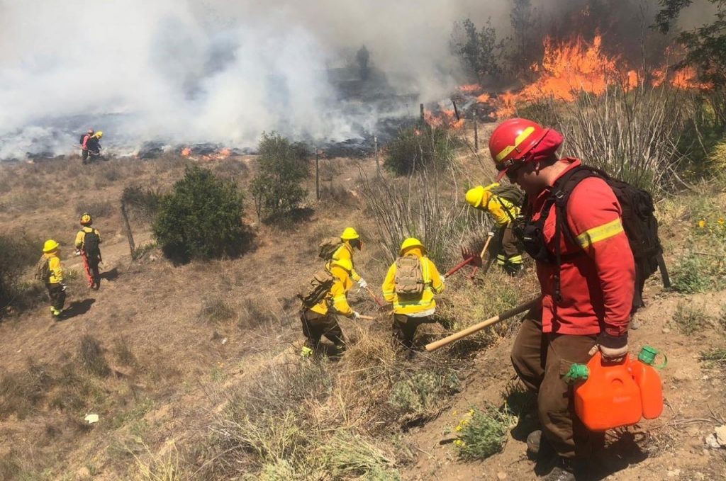 Rodrigo Munita, Director Ejecutivo de CONAF: “Vamos a enfrentar una temporada de incendios tremendamente compleja”