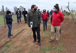 Corfo impulsa proyectos tecnológicos vinculados a agricultura en O'Higgins