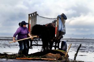 Entra en vigencia Ley de Equidad de Género en la pesca y acuicultura