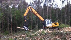 Ataque a faenas forestales en actual Gobierno casi se triplican respecto del anterior