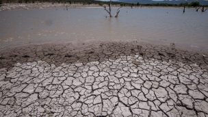 Crece riesgo de escasez de alimentos por cambio climático: A 2050 rendimientos de cultivos podrían caer casi un tercio