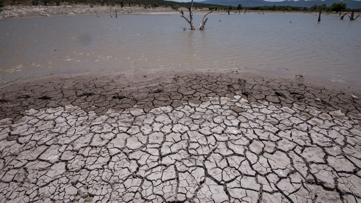 Crece riesgo de escasez de alimentos por cambio climático: A 2050 rendimientos de cultivos podrían caer casi un tercio