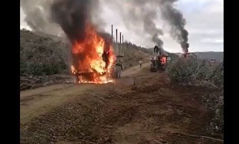 Ataque incendiario en Lebu deja al menos seis máquinas quemadas